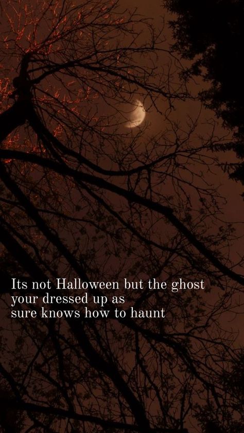 Fall wallpaper Halloween Lyrics, Noah Kahan, Lyrics Wallpaper, Quote Backgrounds, Celebration Quotes, Fall Wallpaper, Song Lyrics, Ghost, Halloween