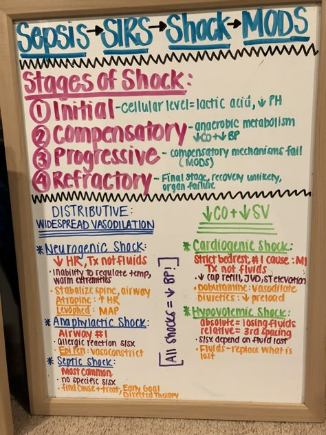 Shock nursing | stages | classifications Paramedic School, Nursing Information, Nursing Mnemonics, Nursing School Survival, Critical Care Nursing, Nursing School Studying, Nursing School Tips, Nursing School Notes, Medical School Studying