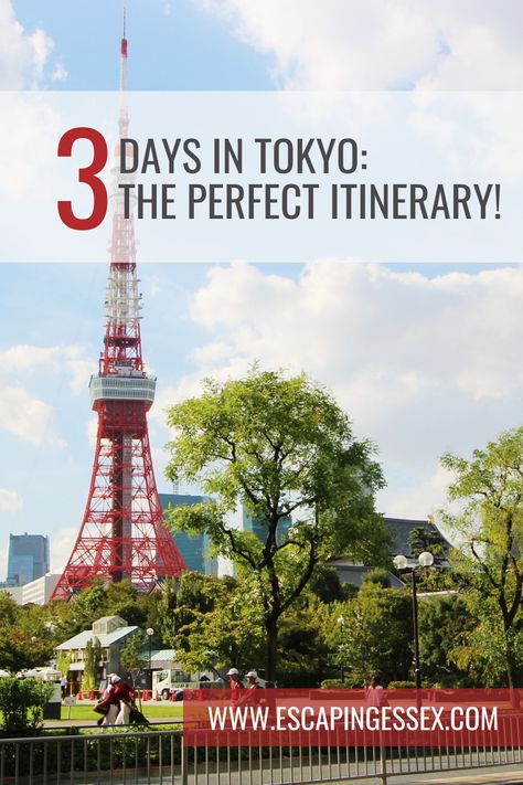 3 Days In Tokyo, Takeshita Street, Yoyogi Park, Sensoji Temple, Shibuya Crossing, Tokyo Tower, Hakone, Rugby World Cup, Perfect Itinerary