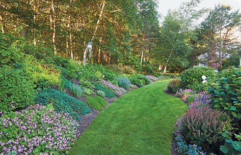 Beautiful Hillside Garden: Hillside gardening is never easy. Learn this gardener's secrets to taming a steep slope and creating a canvas splashed with color and texture in every season. Steep Hillside Landscaping, Rustic Gardening, Steep Gardens, Sloped Backyard Landscaping, Landscaping A Slope, Bigleaf Hydrangea, Landscaping On A Hill, Sloped Yard, Hillside Garden