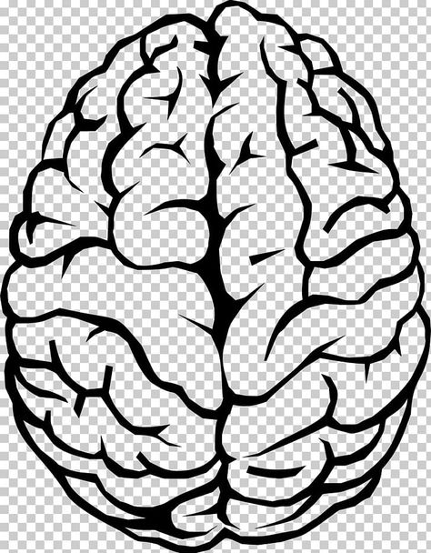 Brain Art Drawing, Human Brain Drawing, Brain Png, Brain Pictures, Kitty Face Paint, Clip Art Black And White, Brain Graphic, Brain Icon, Brain Drawing