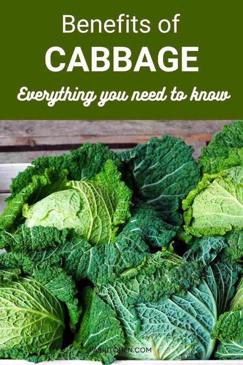 A Pinterest pin featuring a guide to cabbage, including nutrition, benefits, usage tips, and buying/storage advice. The image showcases a vibrant cabbage, inviting viewers to explore the versatile and healthy world of this cruciferous vegetable. #Cabbage #HealthyLiving #NutritionGuide Cabbage Benefits Health, Storing Cabbage, Cabbage Nutrition Facts, Cabbage Health Benefits, Cabbage Benefits, Purple Vegetables, Types Of Cabbage, Dairy Free Breastfeeding, How To Help Nausea