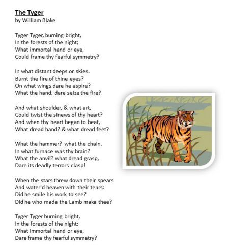 the tiger poem by William Blake - ☮ * ° ♥ ˚ℒℴѵℯ cjf Tiger Poem, English Poem, Poem A Day, Mary Oliver, William Blake, Poem Quotes, The Tiger, Community Board, Big Cats