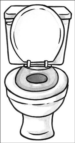 A toilet-topper potty seat on an adult toilet. Toilet Illustration, Toilet Drawing, Toilet Cartoon, Toilet Pictures, Cartoon Toilet, Zen Pictures, Kids Toilet, Potty Chart, Tea Health