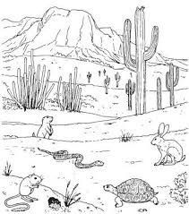 desert drawing HY | Desert drawing, Desert art, Drawings School Deserts, Desert Drawing, Desert Biome, Desert Ecosystem, Desert Scenes, Desert Dunes, Western Artwork, Desert Animals, Desert Scene