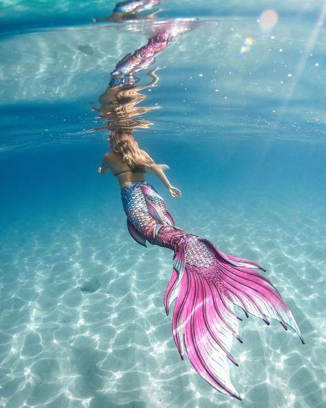 Pink Mermaid Tail, Realistic Mermaid Tails, Realistic Mermaid, Silicone Mermaid Tails, Mermaid Photography, Mermaid Wallpapers, Mermaid Cove, Mermaid Pink, Fantasy Mermaids