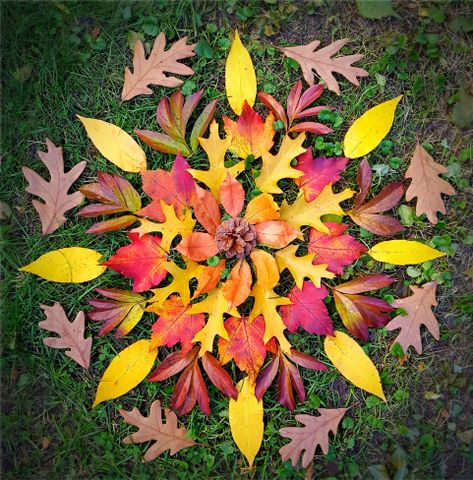 Nature Mandala Art, Leaf Mandala Art, Autumn Mandala, Nature Composition, Fun Garden Projects, Nature Mandalas, Mandala Nature, Leaf Mandala, Tessellation Art