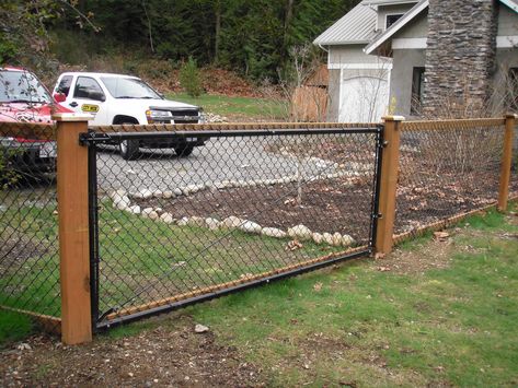 Chain Link Fence with Cedar Wood Trim California Chain Link Fence, How To Make Chain Link Fence Look Better, California Fence Style, Wood Chain Link Fence, Wood And Chain Link Fence Ideas, Chain Link And Wood Fence, Chainlink Fence Ideas, Chain Link Fence Ideas Cover Up, Diy Chain Link Fence