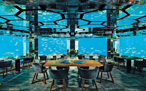 SEA Restaurant, Anantara Kihavah Villas, Maldives Maldives Villas, جزر المالديف, Hotels In Bali, Underwater Hotel, Spa Luxe, Underwater Restaurant, Bawah Air, Under The Water, Maldives Resort