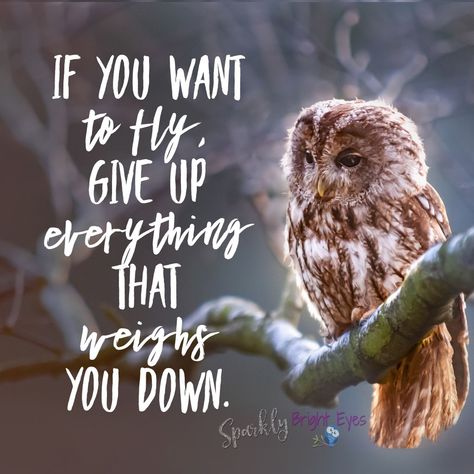 Owl Quotes, Owl Wisdom, Fly Quotes, Tattoo Quotes About Life, Patience Quotes, Owl Images, Bird Quotes, German Quotes, Psychology Quotes