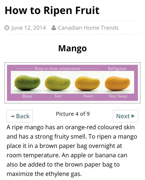 How to ripen a mango How To Ripen Mangos Quickly, How To Pick A Ripe Mango, How To Tell If A Mango Is Ripe, Mango Ripeness Chart, Mango Pineapple Smoothie, Food Knowledge, Mango Pineapple, Pineapple Smoothie, Ripe Fruit