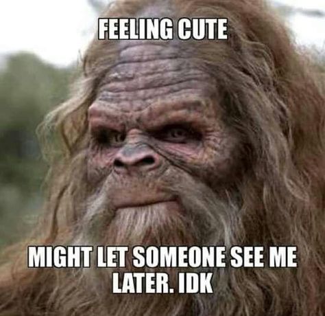 Sasquatch Funny, Bigfoot Pictures, Bigfoot Art, Bigfoot Humor, Bigfoot Sasquatch, Twisted Humor, A Quote, Bones Funny, Funny Animals