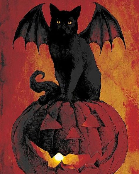 Spooky Artwork, Vintage Backgrounds, Halloween Posters, Bat Cat, Halloween Cats, Halloween Artwork, Black Cat Art, Halloween Illustration, Halloween Vibes