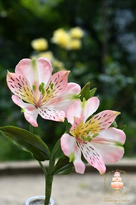 Alstroemeria Aesthetic, Alstroemeria Drawing, Azealia Flower, Alstroemeria Flower, Tiger Lily Flowers, Peruvian Lily, Sugar Flowers Tutorial, Fondant Flower Tutorial, Peruvian Lilies