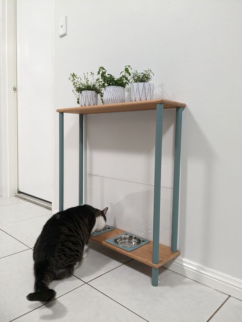 Cat feeding station with built-in splashback Cat Food Corner Ideas, Built In Cat Feeding Station, Cat Food Area Ideas, Cat Station Ideas, Cat Food And Water Station, Cat Feeding Area, Cat Feeding Shelf, Cat Food Station, Cat Feeding Station