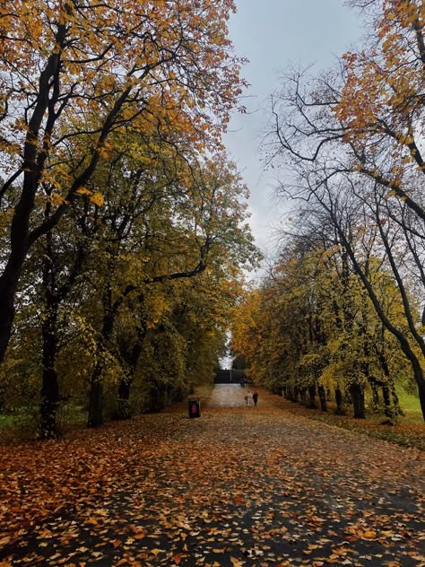 Scotland In Autumn, Autumn In Scotland, Autumn Scotland, Autumn To Do List, Scotland Autumn, Scotland Aesthetic, Aesthetic Baking, Sweet September, Rainy Autumn