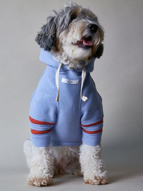 Dog Apparel Pet Fashion, Dog Swag, Dog Jacket Patterns, Light Blue Hoodie, Cute Dog Clothes, Dog Fashion, Dog Branding, Dog Clothes Patterns, Modern Pet