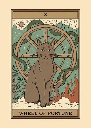 On the spot: Thiago Correa | Displate Blog Cat Tarot Cards, Tarot Cards Art Illustration, Wheel Of Fortune Tarot, The World Tarot, Consciousness Art, Witchy Wallpaper, Black Cat Art, Tarot Cards Art, Tarot Art