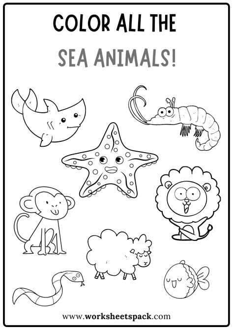 Animals In The Sea Preschool, Animals That Live In Water Worksheets, Pre K Animal Activities, Sea Worksheets Preschool, Animals That Live In Water, Sea Animals For Preschoolers, Sea Animals Activity Preschool, Sea Animals Worksheets For Preschool, Sea Animal Worksheets Preschool