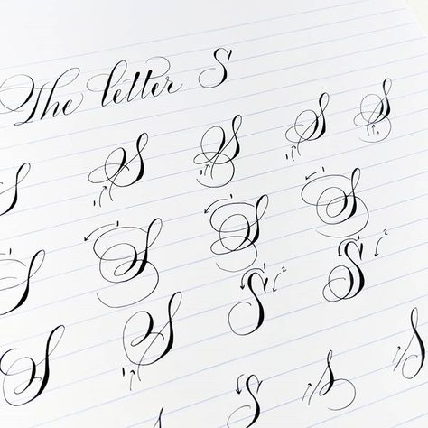 Time to move on to the letter S! I love the many ways you can write this letter. #learncalligraphy #theletters #pointedpen #calligraphy… S Signature Ideas, Calligraphy S, Free Tattoo Fonts, Calligraphy Writing Styles, Calligraphy Letters Alphabet, Flourish Calligraphy, Lettering Guide, Photo Time, The Letter S