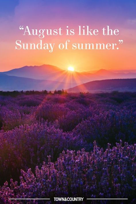 Sunday Smiles Hello August End Of August Quotes, Last Day Of August Quotes, On Holiday Quotes, August Quotes Month Of, End Of Summer Wallpaper, Welcome August Quotes, Quotes August, End Of Summer Quotes, August Vibes