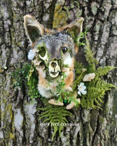 Taxidermy Art, Animal Skulls, Taxidermy, Dried Flowers, Art Inspo, Bones, Art Inspiration, Instagram Photos, Photo And Video