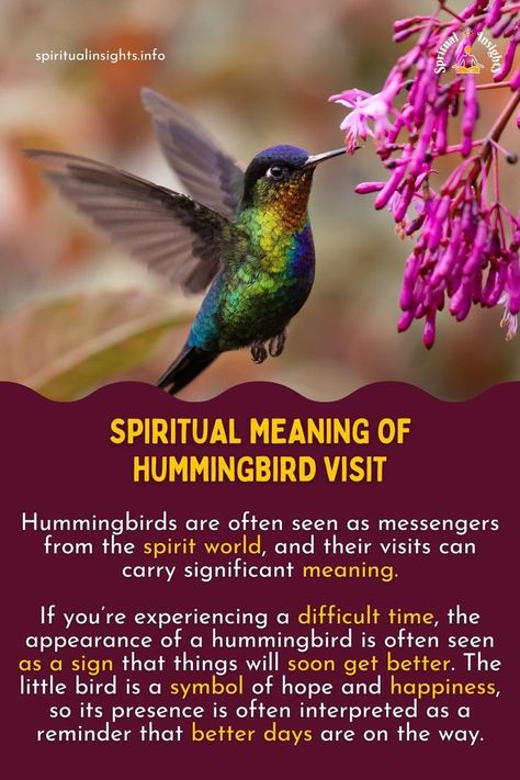 Spiritual Meaning of Hummingbird Visit Meaning Of Hummingbird, Hummingbird Spiritual Meaning, Hummingbird Quotes, Hummingbird Meaning, Hummingbird Symbolism, Bird Meaning, Spirit Animal Meaning, Animal Meanings, Symbolic Meanings