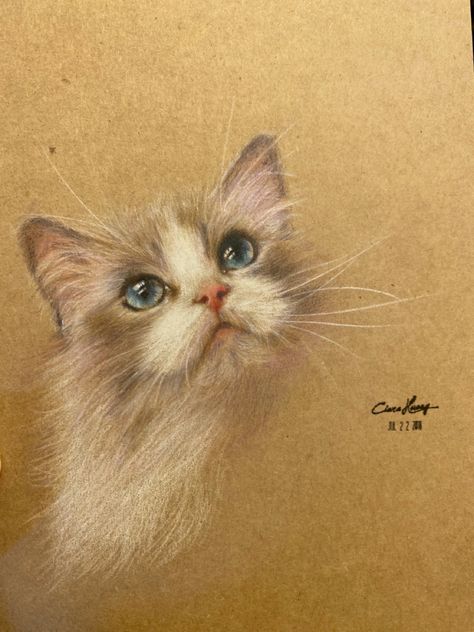 Using water colored pencil. Water Colored Pencil, Cat Rocks, Cat Story, Portrait Pencil, Cat Drawing Tutorial, Water Color Pencil, Colored Pencil Artwork, Cat Portrait, Cats Art