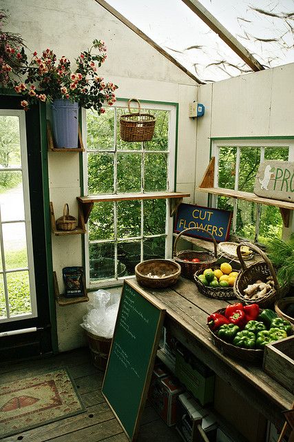 Nice garden shed with lots of light. Could make a nice backyard studio or home office. Would obviously need massive A/C unit with all those windows Greenhouse Shed, Garden Modern, Modern Layout, Design Building, Modern Garden Design, Potting Sheds, Garden Greenhouse, Garden Sheds, Have Inspiration