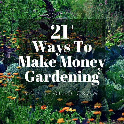 Make Money Gardening: 20+ Ideas To Start Earning Now! Farm Business, Garden Vegetable, Market Garden, Starting A Garden, Garden Nursery, Hydroponic Gardening, Hobby Farms, Ways To Make Money, Veggie Garden