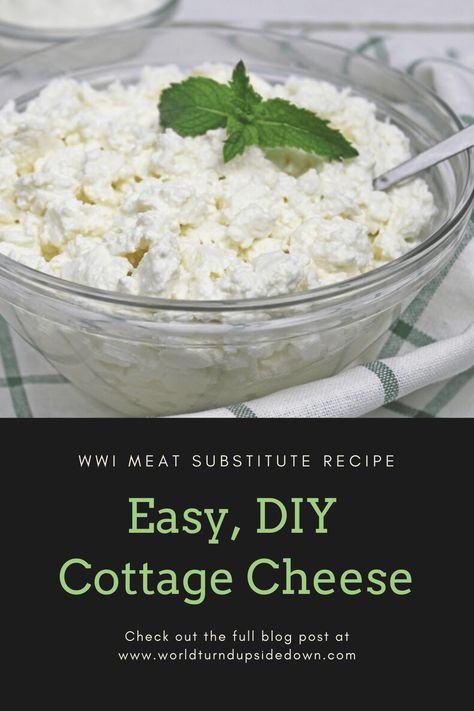 Leftover Buttermilk, Whey Recipes, Cottage Cheese Recipe, Diy Cottage, Cheese Making Recipes, Farm Cheese, Easy Lemon Curd, Buttermilk Recipes, Fermentation Recipes