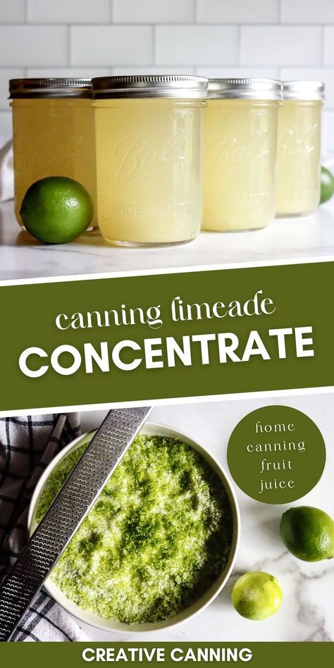 Refrigerator Canning Recipes, Canning Fruit Juice, Canning Juice Concentrate, Canning Drink Concentrate, How To Preserve Limes, Juice Canning Recipes, Canning Drinks, Canning Juice, Homemade Limeade