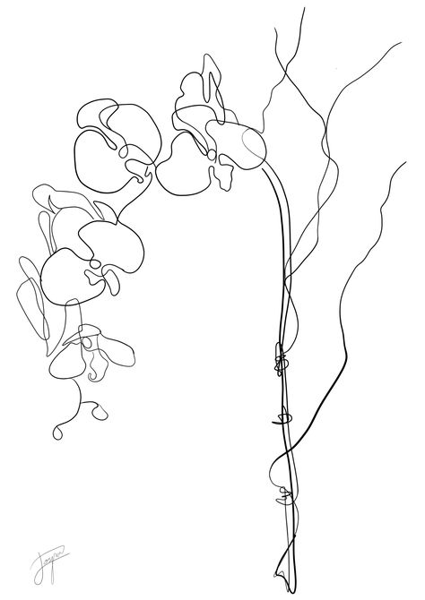 An exotic flower symbolise fertility and elegance. Single Line Orchid Tattoo, Orchid Line Art, Orchid Reference, Orchid Line Drawing, Orchid Embroidery, Abstract Flower Tattoos, Orchid Drawing, Orchid Art, Painted Skateboard