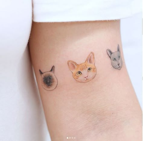 Cat Face Tattoo, Cat Face Tattoos, Cute Cat Tattoo, Cat Tattoo Designs, Delicate Tattoo, Tattoo Cat, Disney Tattoo, Cat Tattoos, Face Tattoos