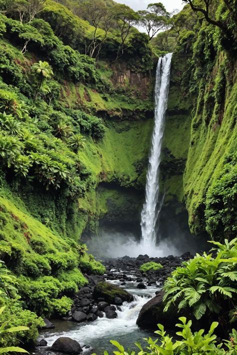 🌺 Maui Waterfall Wonders: Your Ultimate Hiking Guide 🌿 Hawaiian Waterfalls, Maui Waterfalls, Maui Hikes, Hikes In Hawaii, Hiking Hawaii, Hikes In Maui, Antipolo City, Hawaii Waterfalls, Waimea Falls