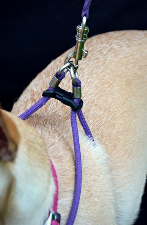 The Dog Geek: Product Review: Midnight Pet Lite and E-Z Harness and Leash Paracord Dog Harness Diy, Diy Dog Harness, Paracord Dog Leash, Diy Dog Collar, Paracord Dog Collars, Rope Dog, Dogs For Sale, Dog Clothes Patterns, Pet Fashion