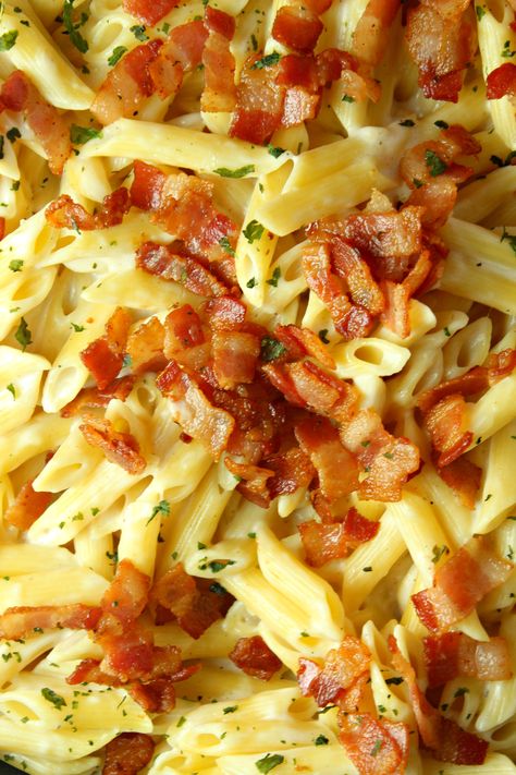 Easy Pasta With Bacon, Easy Bacon Pasta Recipes, Bacon Alfredo Pasta Recipes, Pasta Bacon Recipes, Bacon Alfredo Pasta, Bacon Alfredo, Bacon Pasta Recipes, Bacon Recipes For Dinner, Bacon Dinner