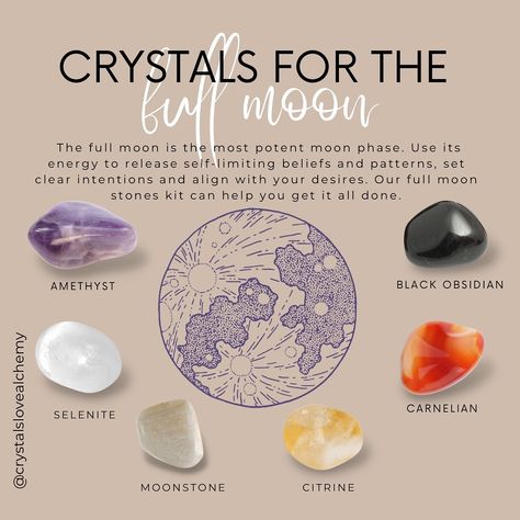 New Product Alert! 🔔 Full Moon Crystals Kit 💎 Moonstone, selenite, amethyst, citrine, black obsidian, and carnelian… all charged under tonight’s full moon. ⚡️ Available tomorrow on site. FREE sage bundle and candle included. $99/set 💎 Full Moon Oil Recipe, Full Moon Crystals, November Full Moon, Happy Full Moon, Moon Crystals, Moon Time, New Product Alert, Protection Spell, Moon Crystal