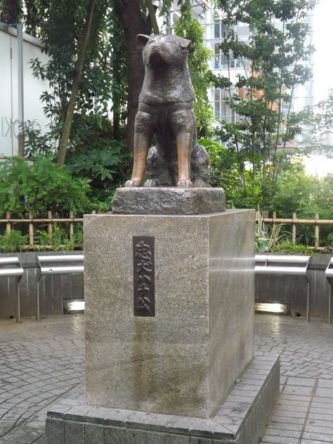 Tanuki Statue, Hokora Shrine, Confucius Statue, Hachiko Statue, Wrestling Team, Fu Dog Statue, Nagano, Japan Travel, Tokyo