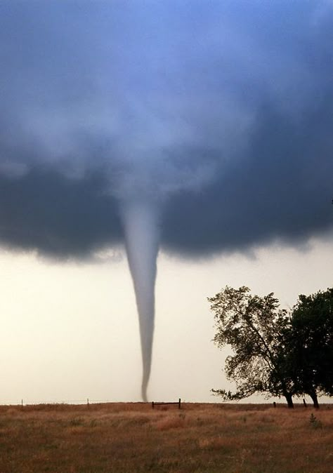 A majestic slender tornado spins out of a supercell thunderstorm near Attica Kansas on May 29th, 2004. Tornado Sketch, Lightning Tornado, Tornado Project, Tornado Craft, Tornado Party, Kansas Tornado, Tornado Cake, Tornado Pictures, Supercell Thunderstorm