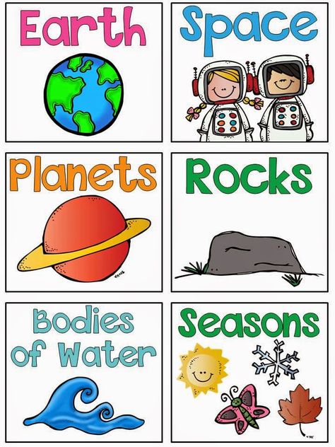 Library Labels Freebie | Teaching With Haley O'Connor Library Signs Printable, Book Bin Labels Free, Library Book Labels, Worksheets For First Grade, Classroom Library Labels, Preschool Library, Library Lesson Plans, Book Bin Labels, Library Labels