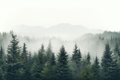 Mist fog fir backgrounds. AI generated Image by rawpixel. | premium image by rawpixel.com / Hein Iphone Forest Wallpaper, Foggy Green Forest, Dark Forest Background, Wallpaper Outdoors, Fog Background, Trees In Fog, Spruce Forest, Wallpaper Night, Indian Flag Wallpaper