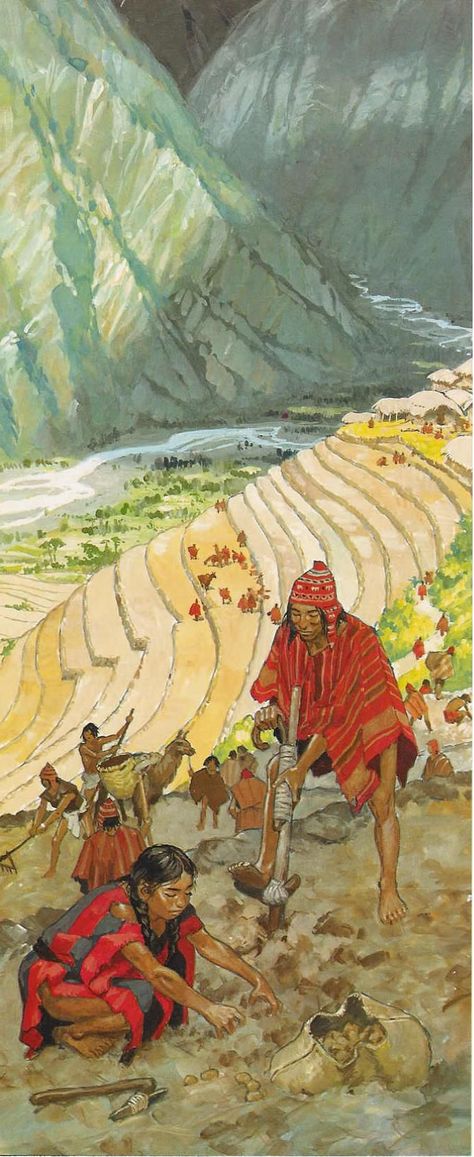 Inca Art, Inca Empire, Ancient Cultures, The Cloud, Ancient Civilizations, Ancient Times, Ancient History, Archaeology, Columbus