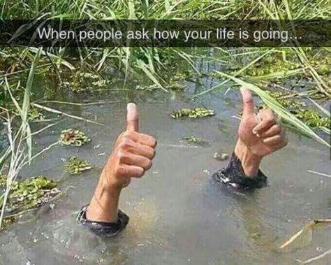 When people ask how your life is going... Morbider Humor, Phd Humor, Detroit: Become Human, Golf Humor, Disc Golf, Social Work, I Smile, Thumbs Up, I Laughed