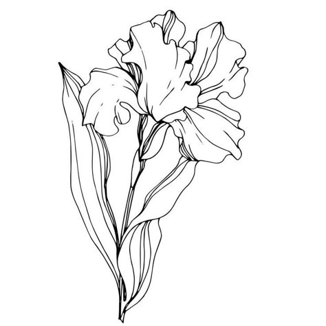 Pen Art Doodle, Iris Flower Tattoo, Fleurs Art Nouveau, Flor Tattoo, Unique Wrist Tattoos, Wrist Tattoo Designs, Flower Mural, Flower Line Drawings, Art Painting Tools