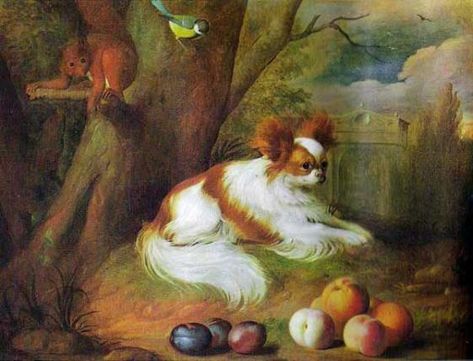 Papillon from the painting Still Life by Jacob Bogdani Papillon Dog Puppy, Painted Dogs, Papillon Dog, Dream Dog, Beautiful Dog, European History, Painting Still Life, Old Paintings, Amazing Animals