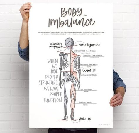 Chiropractic Posters, Letter Anatomy, Chiropractic Office Decor, Chiropractic Art, Chiropractic Office Design, Chiropractic Quotes, Text Neck, Anatomy Poster, Spinal Column