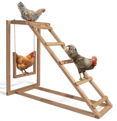 Reban Ayam, Cute Chicken Coops, Chicken Coop Garden, Chicken Pen, Backyard Chicken Coop Plans, Chicken Toys, Diy Chicken Coop Plans, Chicken Coop Run, Backyard Chicken Farming