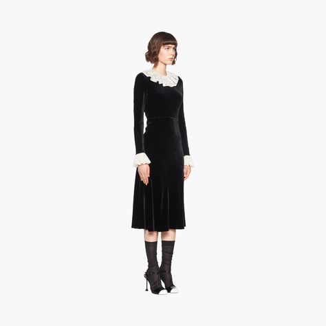 Velvet midi-dress Black | Miu Miu Miu Miu Black Dress, Luxury Miu Miu Dresses For Women, Luxury Fitted Miu Miu Dresses, Miu Miu Velvet Mini Dress, Vintage Black Dress With Doll Collar, Prada 2005, Velvet Midi Dress, Lace Insert, Striped Blouse