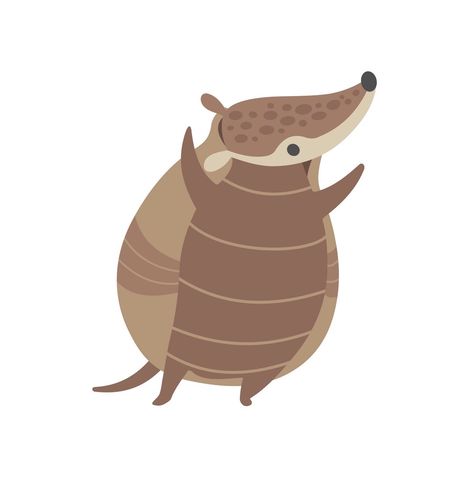 Cute Armadillo, Stock Photos Funny, Clipart Baby, Photos Funny, Character Vector, Japanese Toys, Animal Cartoon, Cute Happy, Cartoon Character